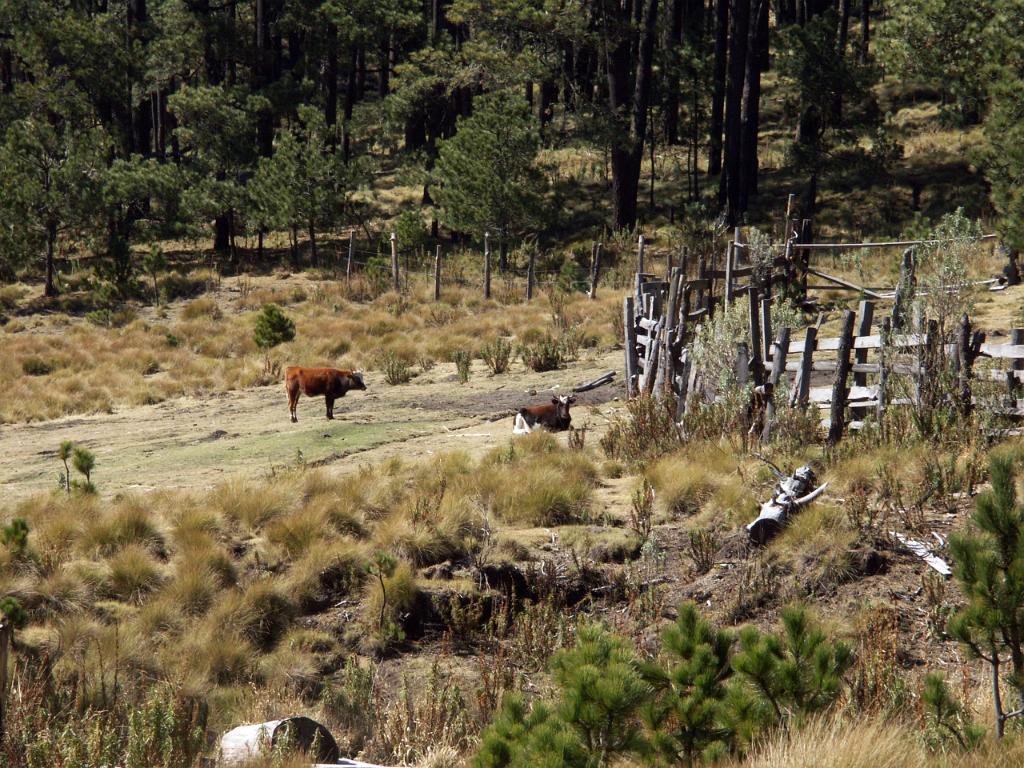 100214_Paso_de_Cortes 064.JPG